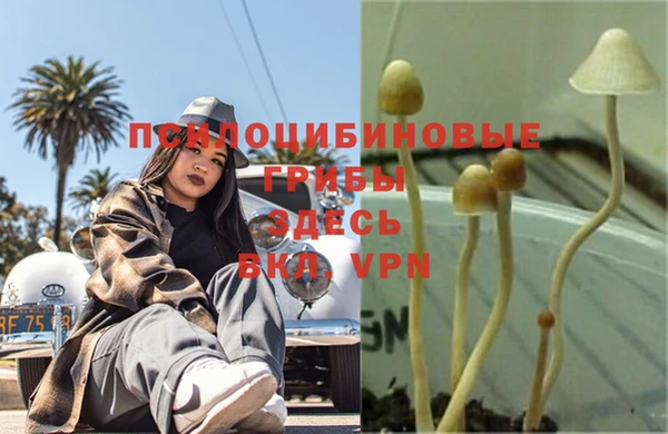 соль ск Сатка