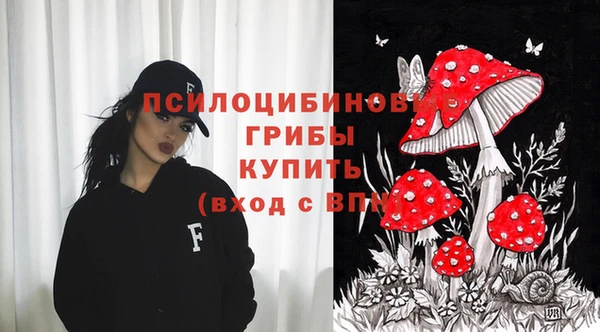 трава Аркадак