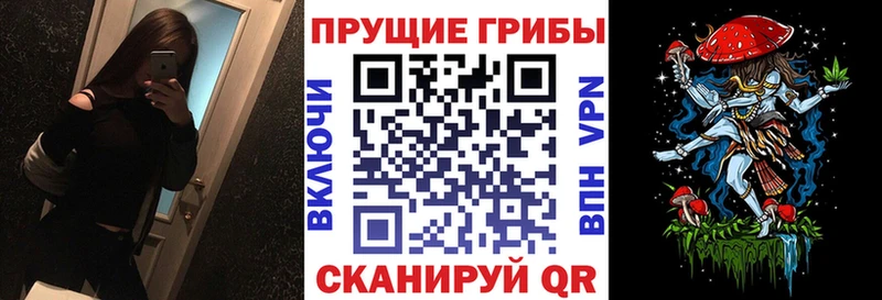 Галлюциногенные грибы Psilocybe  Гороховец 